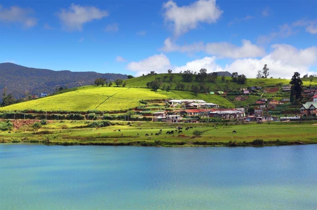 Daffodils Hotel Nuwara Eliya Exterior foto